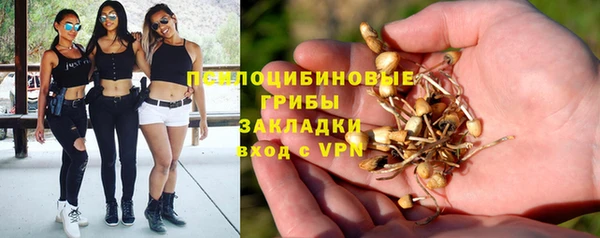 дурь Алексеевка