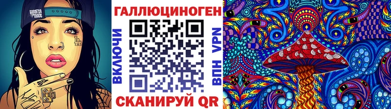 гидра сайт  Краснообск  Псилоцибиновые грибы Cubensis 